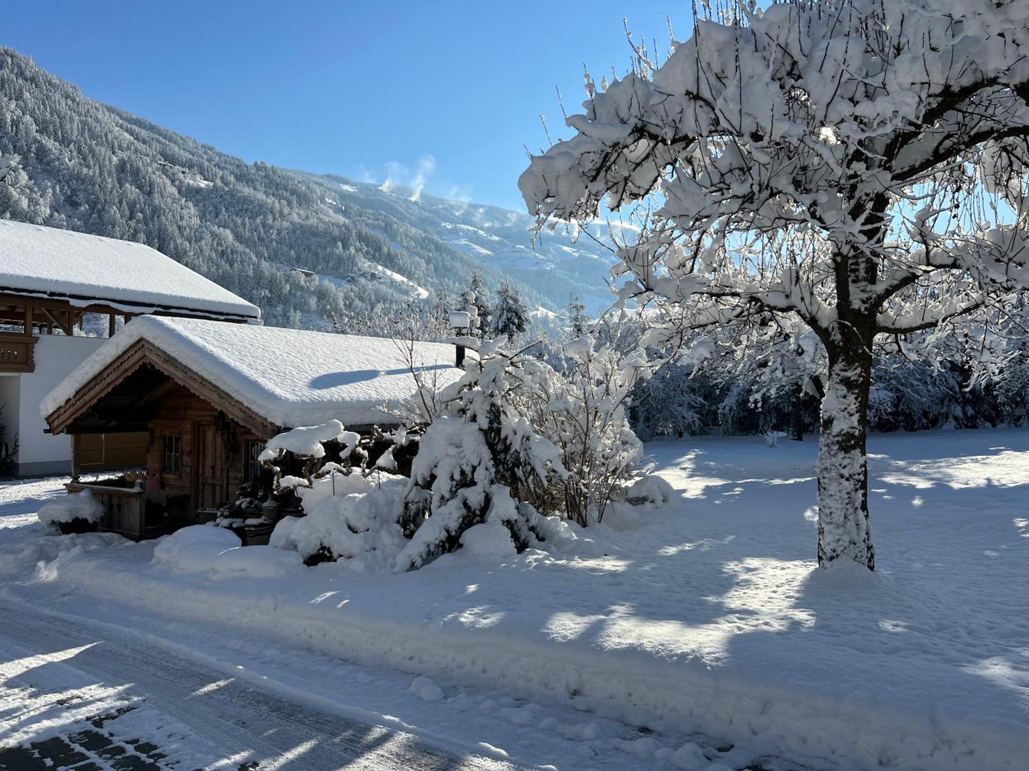 Martlerhof Apartment Aschau Im Zillertal Exterior photo